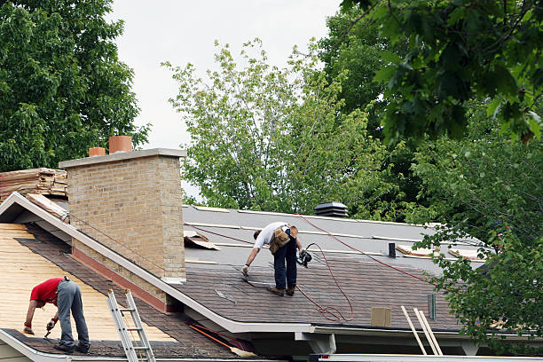 Best Roof Gutter Cleaning  in Stlman Valley, IL